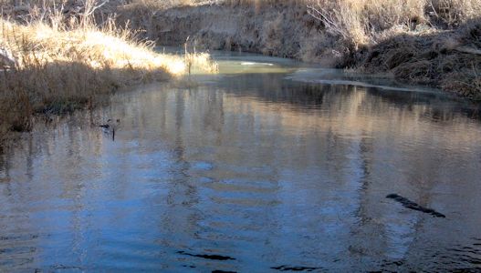 4.47 cfs at Bow Creek near Stockton, KS on Dec. 19, 2013. Photo by Andrew Clark, USGS.