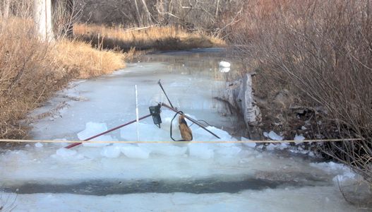 5.34 cfs at Bow Creek near Stockton, KS on Jan. 17, 2014. Photo by Andrew Clark, USGS.