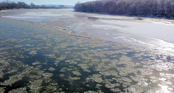 Backwater at Kansas River at Wamego, KS on Feb. 3, 2014. Photo by Arin Peters, USGS.