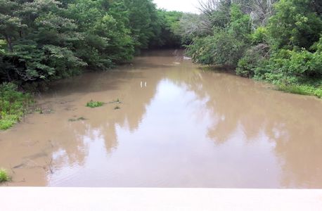 Cowskin Creek at 29th Street North of Wichita, KS on July 25, 2013. Photo by Chris Moehring, USGS.