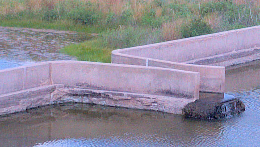 0.10 cfs at North Fork Ninnescah River at Cheney Dam, KS on July 16, 2012. Photo by Sonja McDanel, USGS.