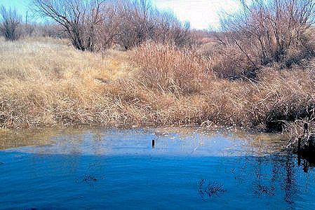 1.06 cfs at Crooked Creek near Englewood, KS on Nov. 20, 2012. Photo by Craig Dare, USGS.