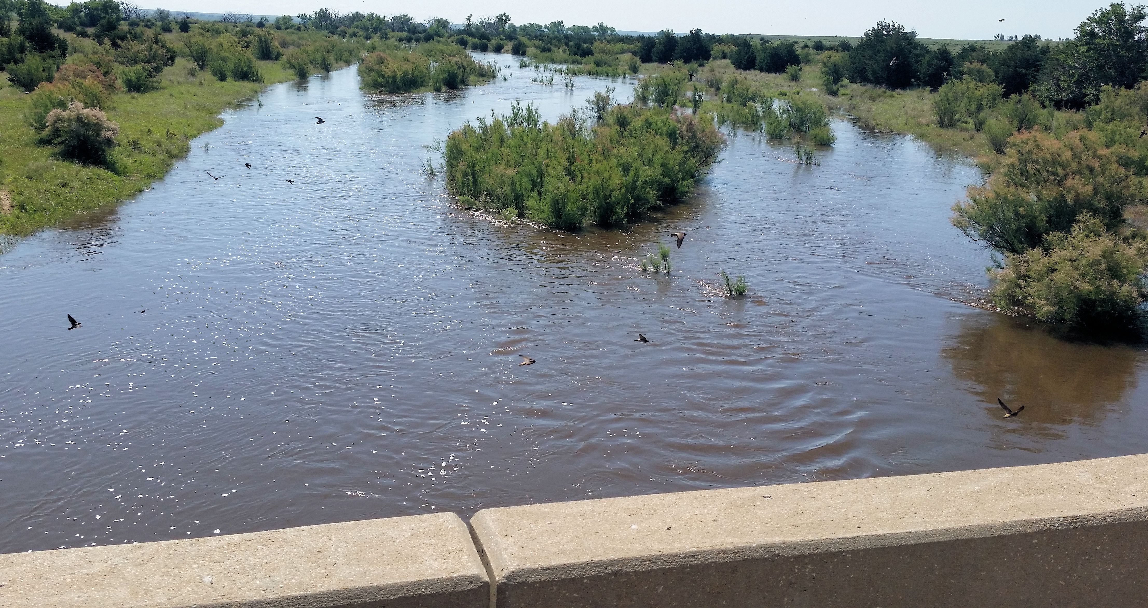 624 cfs at Cimarron River nr Buttermilk, KS on May 31, 2015. Photo by Chris Moehring, USGS.