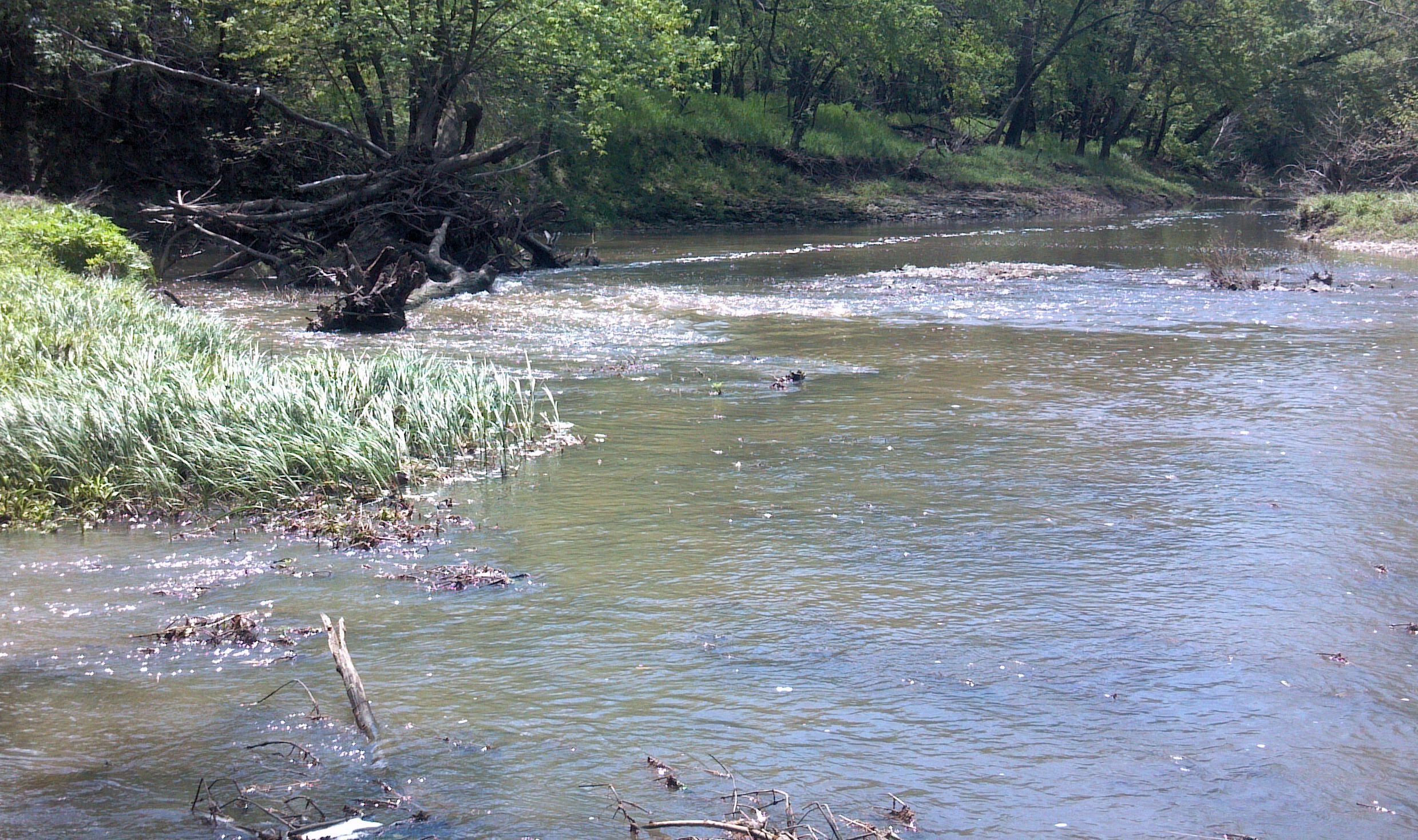62.6 cfs at Labette Creek near Oswego, KS on May 1, 2013. Photo by Craig Davies, USGS.